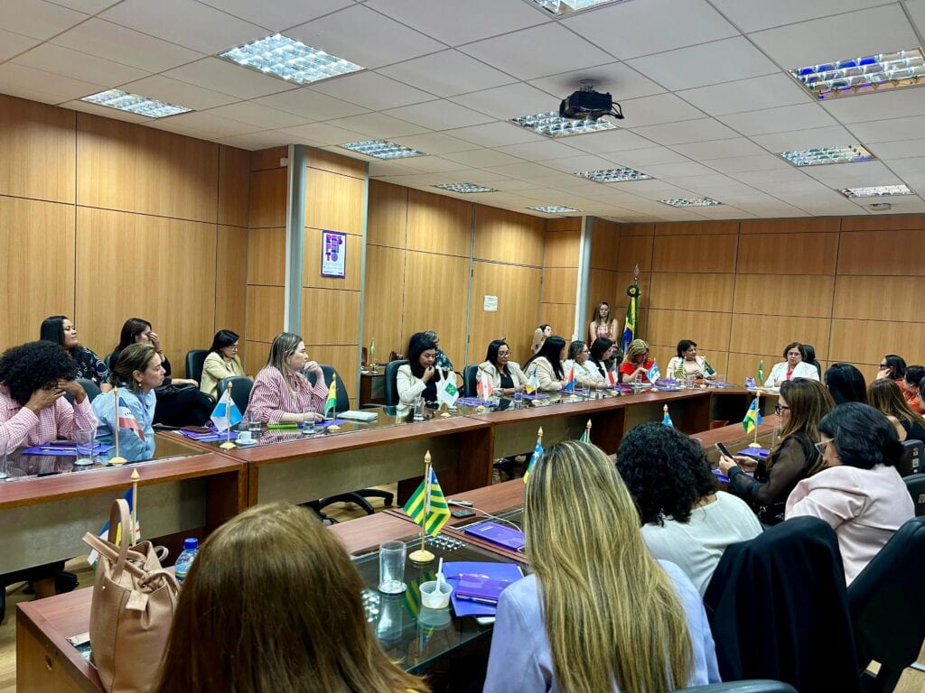 Encontro entre as secretárias estaduais da Mulher e a ministra Cida Gonçalves na sede do Ministério da Mulher. Foto: cedida